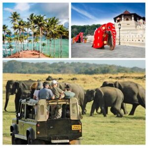 Sri Lanka Heritage and Nature Expedition: A 10-Day Adventure